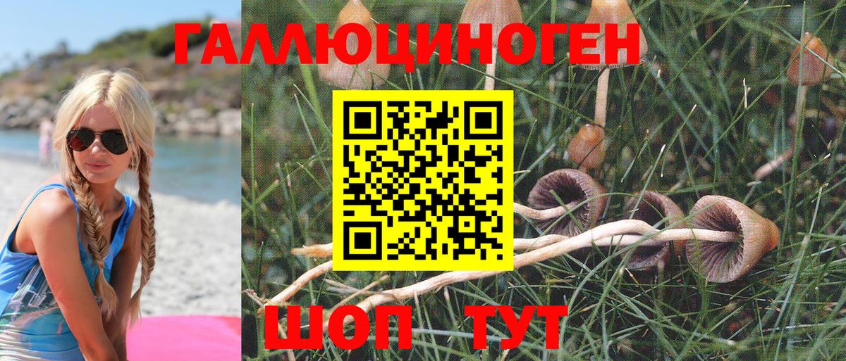Галлюциногенные грибы MAGIC MUSHROOMS  Вход с VPN  Вольск 